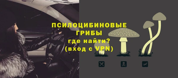 ECSTASY Алексин